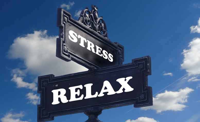 Welke kruiden helpen tegen stress?