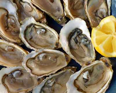 oesters omega 3