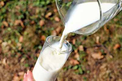 metabolisme versnellen melk
