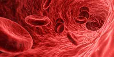 rode bloedcellen ijzertekort
