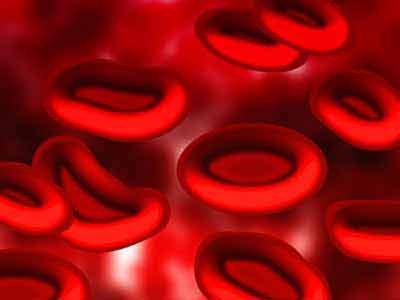 rode bloedcellen ijzertekort