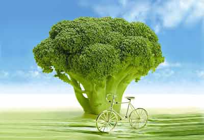 broccoli herstelt longen