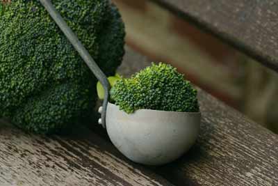 dim broccoli